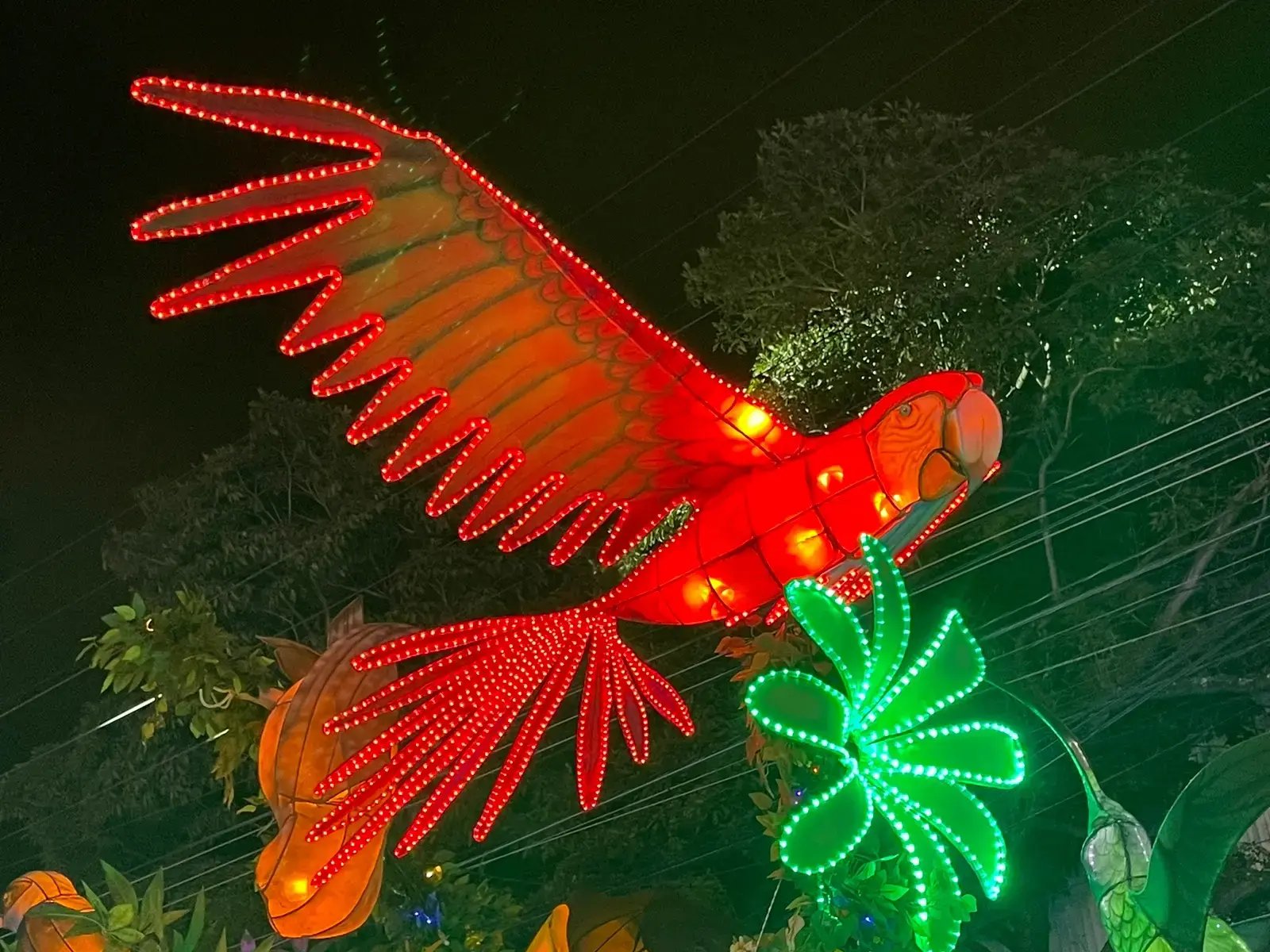 Escultura iluminada de guacamaya roja en la carroza del Banco Nacional.