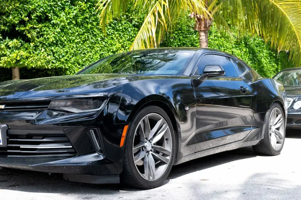 Chevrolet Camaro negro estacionado bajo palmeras