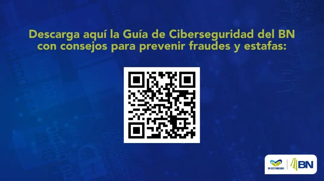 guia_ciberseguridad_bn