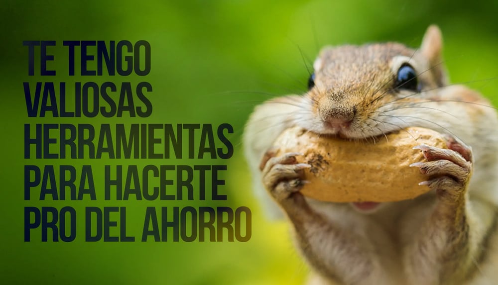Ardilla sostiene un maní con las patas frente a fondo verde junto al texto “Te tengo valiosas herramientas para hacerte pro del ahorro”.