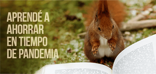 Ardilla observa un libro abierto con el texto “Aprendé a ahorrar en tiempo de pandemia”.