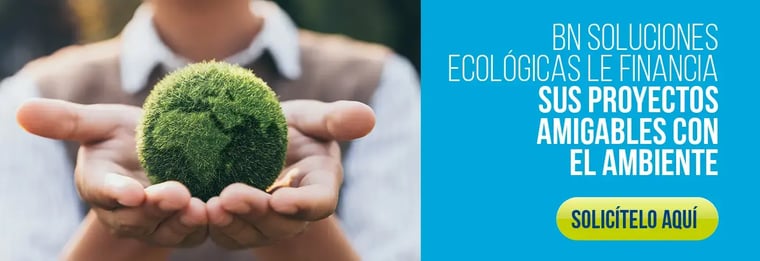 Persona sosteniendo en sus manos una esfera verde cubierta de musgo, simbolizando un concepto ecológico.