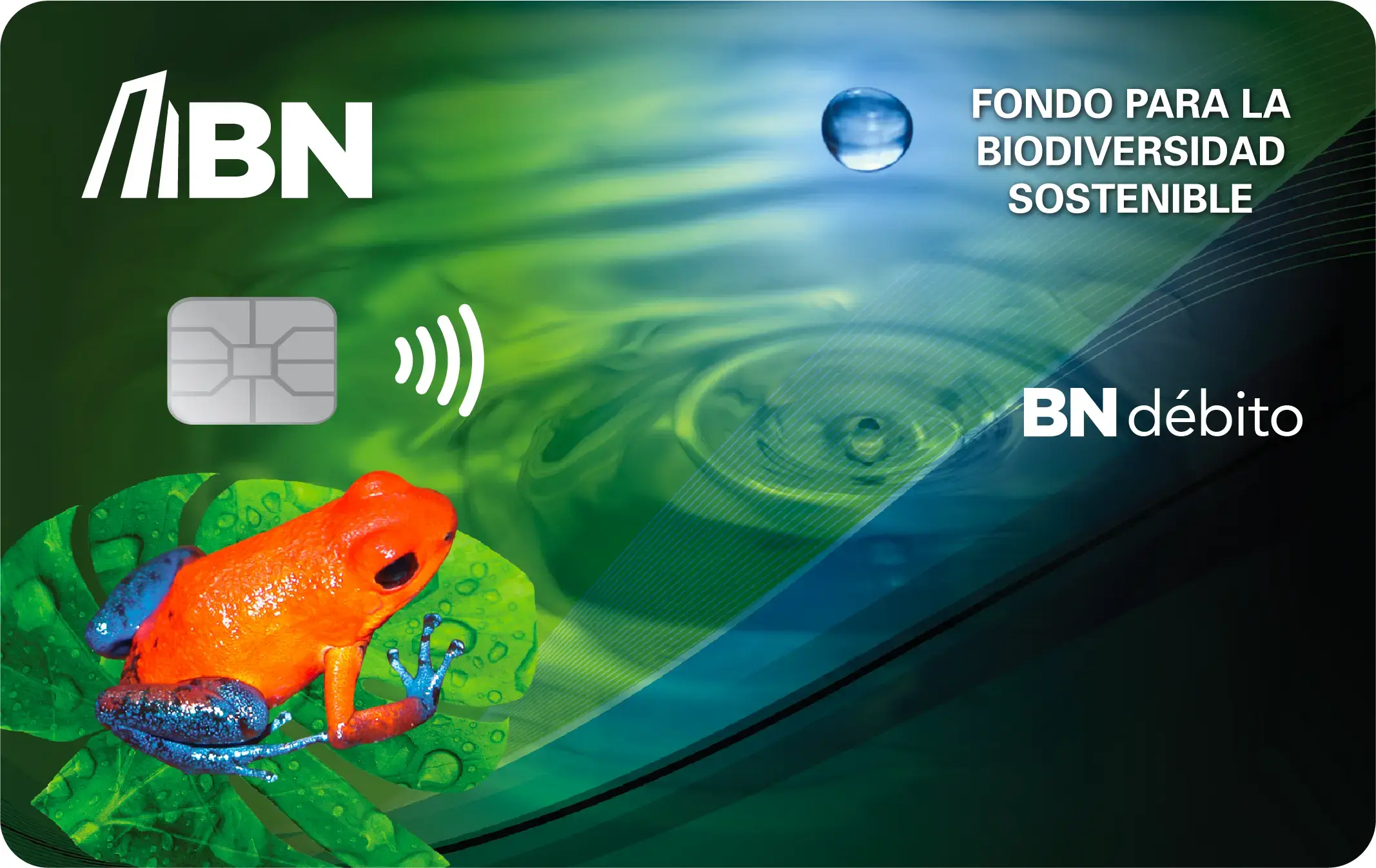 Tarjeta BN Débito con imagen de rana roja y azul sobre hojas verdes y fondo con agua.
