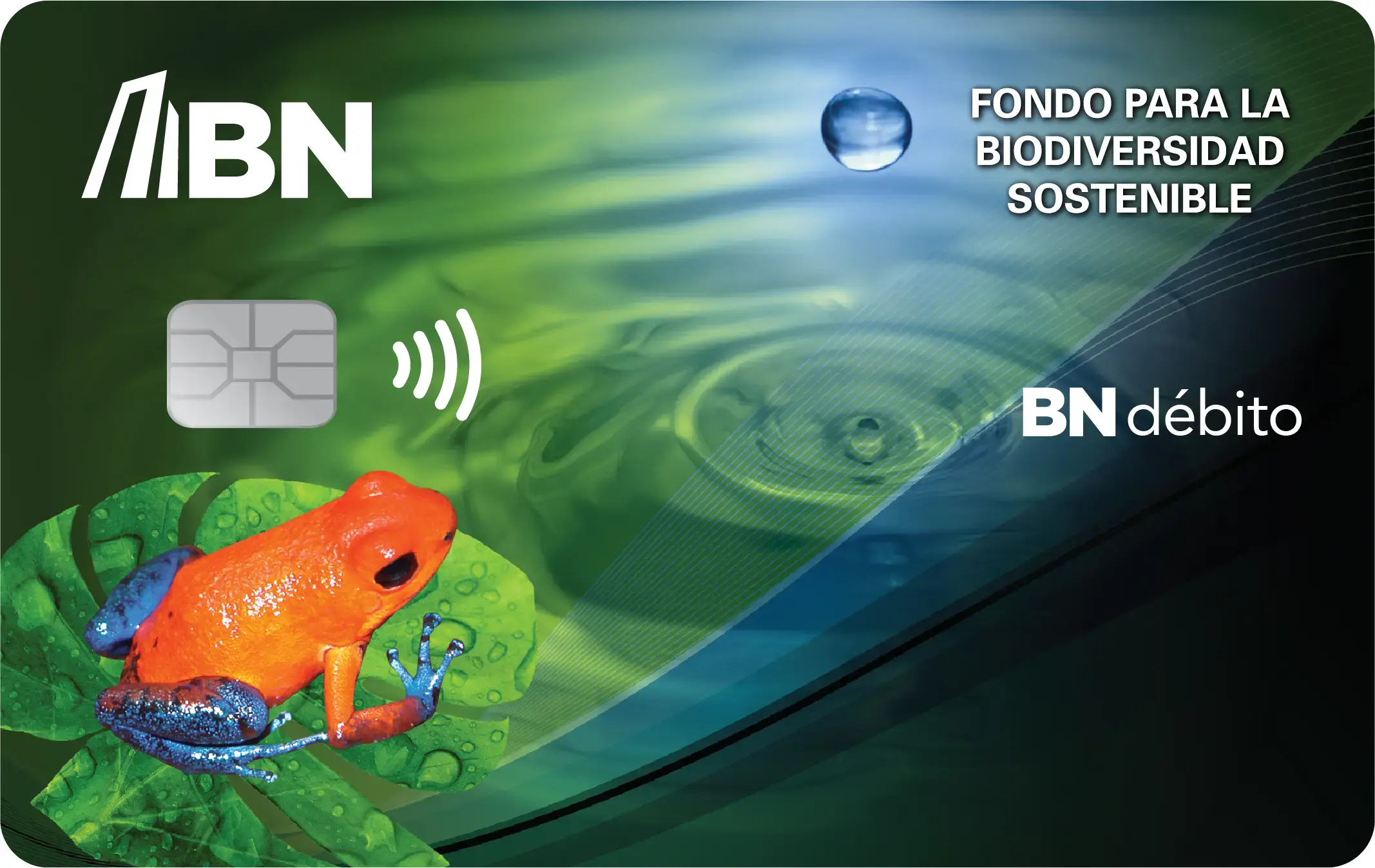 Tarjeta BN Verde, con diseño verde y una rana roja sobre hojas tropicales. Tiene el título BN Servibanca.