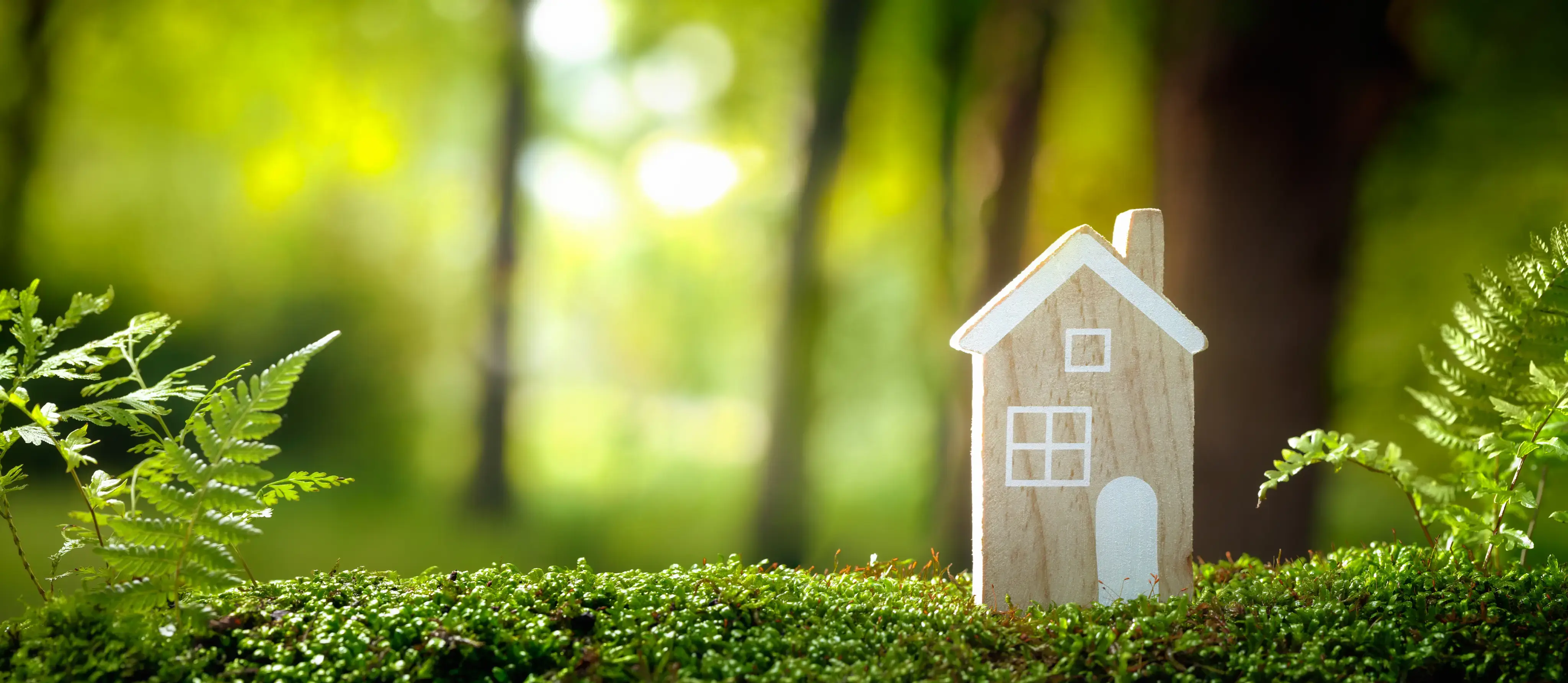 Casa decorativa de madera colocada sobre musgo en un entorno natural iluminado.