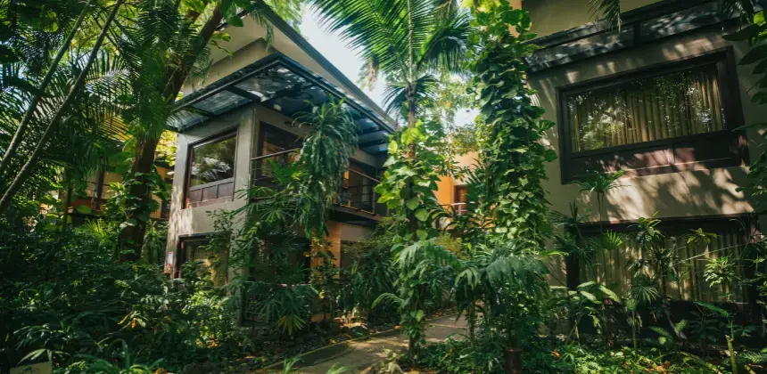 Fachada del Hotel Bosque del Mar rodeada de abundante vegetación tropical y palmeras