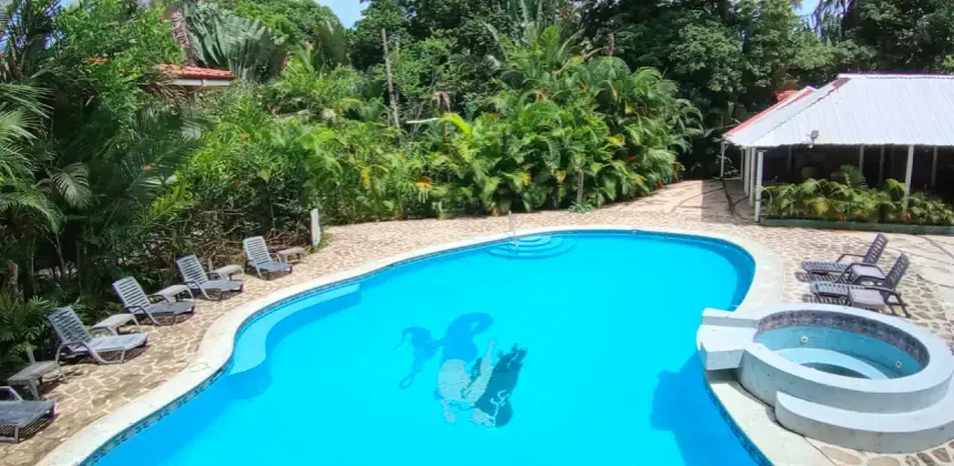 Piscina del Hotel Playa Westfalia rodeada de vegetación tropical con sillas reclinables.