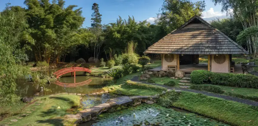 Vista panorámica del Jardín Botánico Lankester con estanque, puente rojo y pabellón de madera rodeado de vegetación tropical