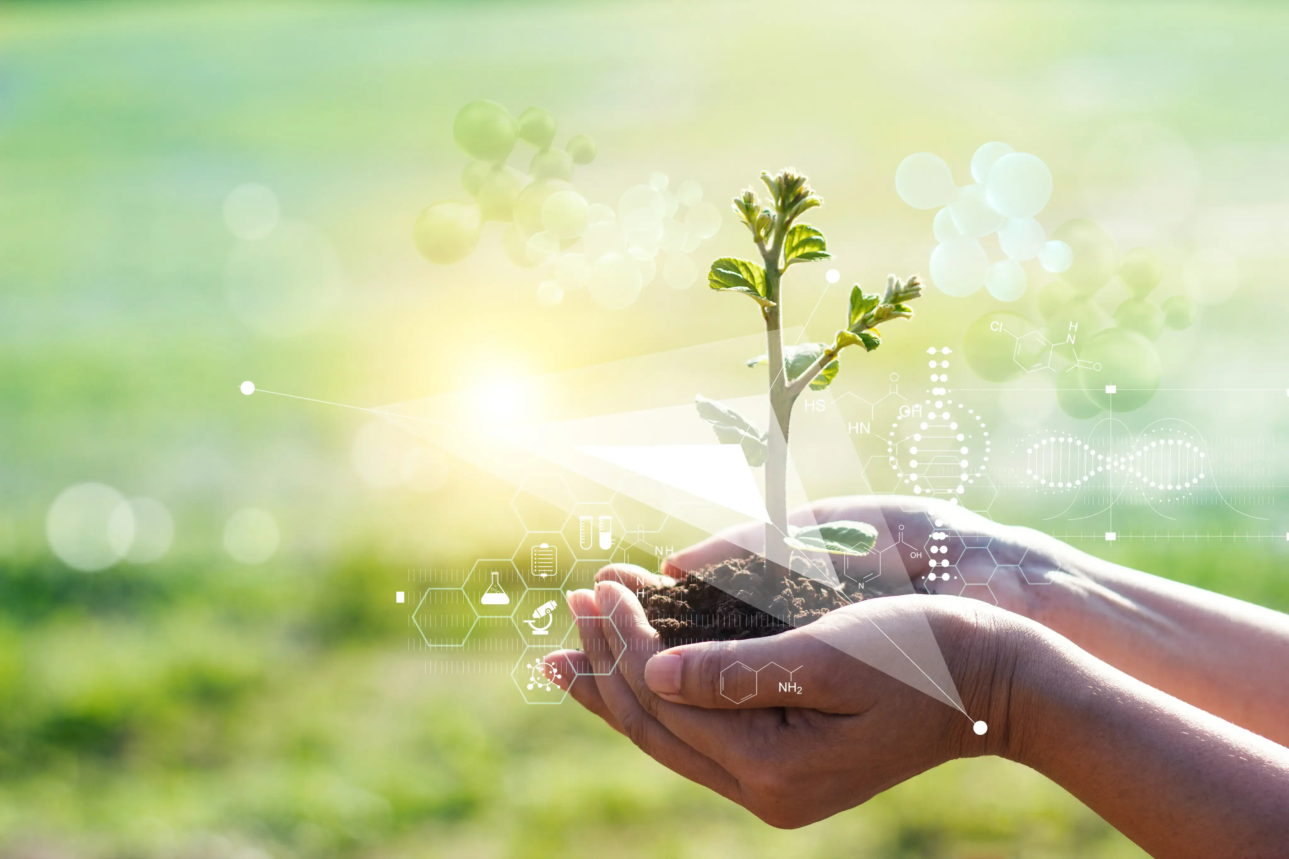 Manos sosteniendo una plántula con tierra sobre fondo verde y gráficos tecnológicos superpuestos.