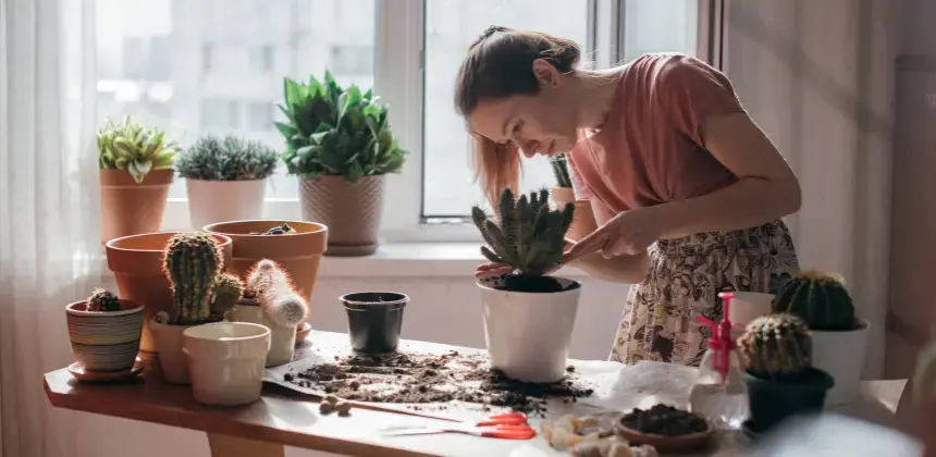 Mujer cuidando un cactus en maceta sobre mesa con varias plantas y herramientas de jardinería