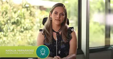 Mujer joven identificada como Natalia Hernández, ingeniera agrónoma, sentada frente a una ventana con vista a árboles y luz natural.