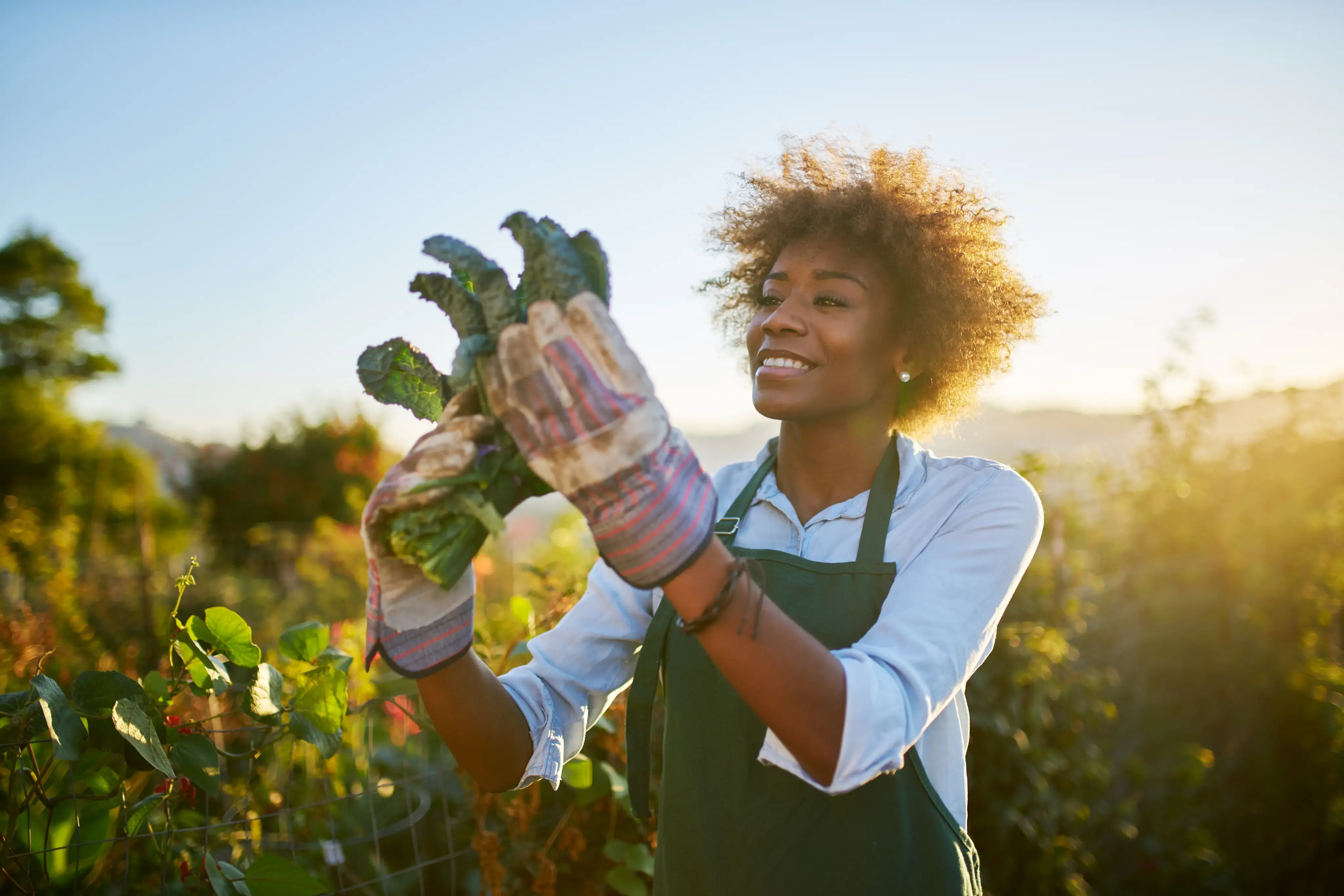 Mujer con guantes de jardinería y delantal sosteniendo hojas verdes en un cultivo al aire libre.