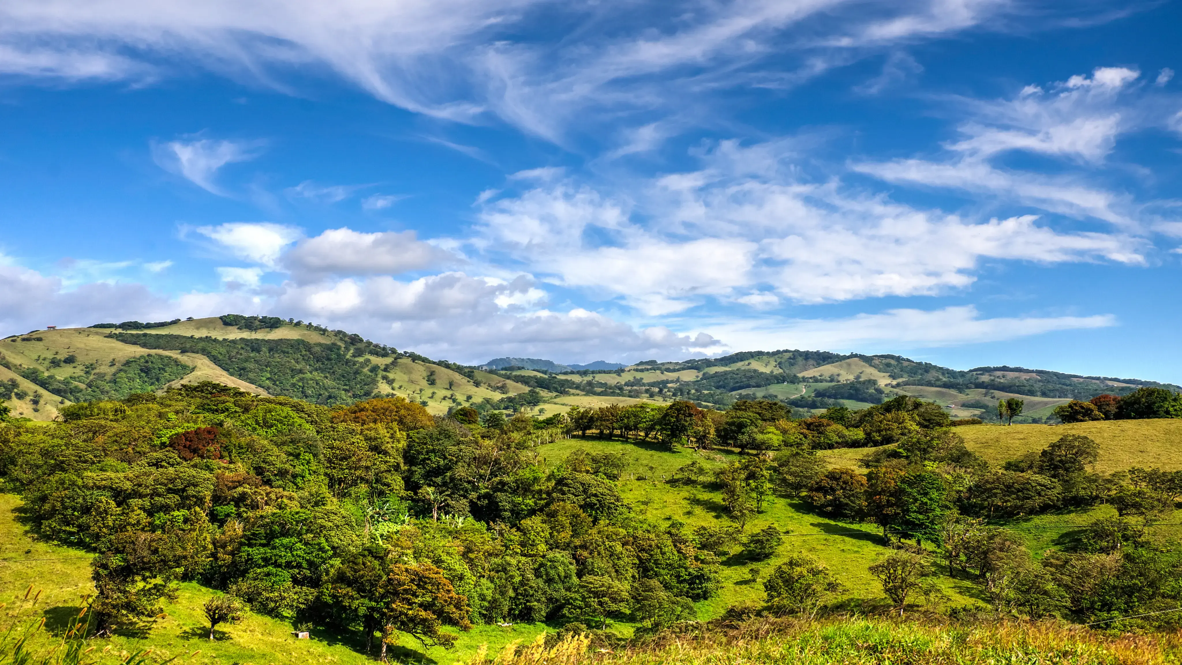 Colinas verdes con árboles bajo un cielo azul con nubes dispersas.