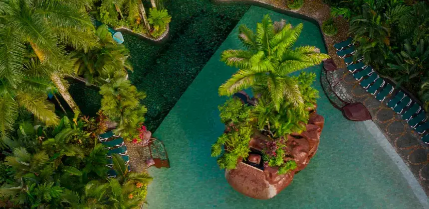 Vista aérea de piscina rodeada de vegetación tropical con una isla central de palmeras y plantas
