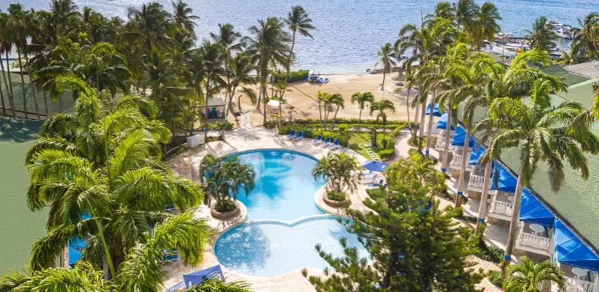 Vista aérea de un resort con piscina rodeada de palmeras junto a la playa.