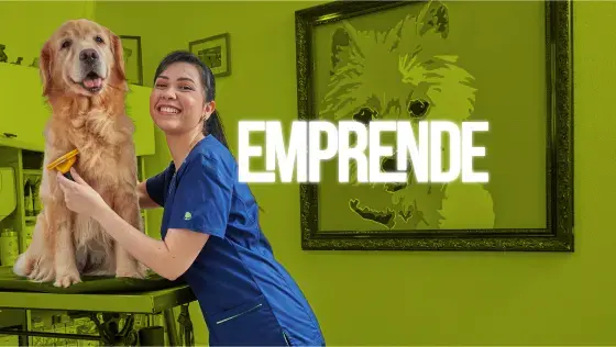 Mujer sonriente con uniforme azul peinando a un perro golden retriever sobre una mesa de estética canina, con un cuadro de perro en la pared y la palabra 
